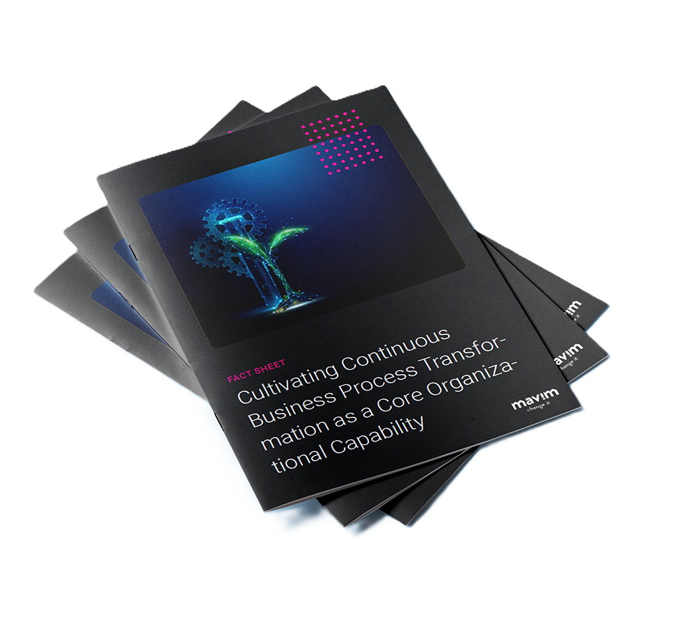 FS - Cultivating Continuous Business Process Transformation as a Core Organizational Capability - download img