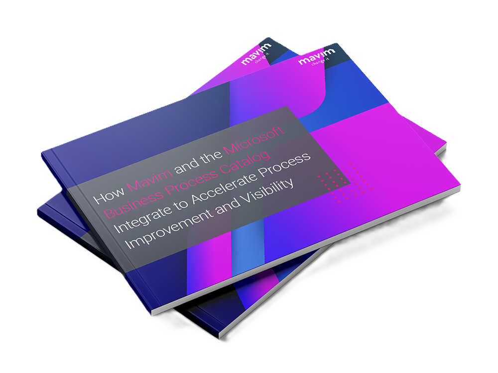 eBook - Microsoft Business Process Catalog and Mavim - download img